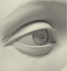 an eye is shown in black and white, with the iris partially open to show its lightness