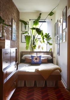 a bedroom with a bed, plants and pictures on the wall