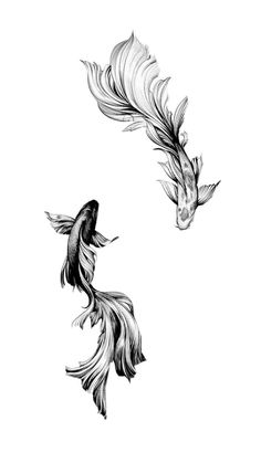 two black and white koi fish flying in the air with their tails spread out