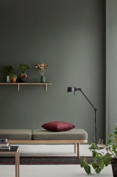 a living room with green walls and plants on the shelf above the couch, along with a red pillow