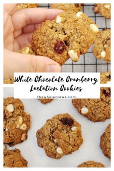 white chocolate cranberry lactictin cookies are on a cooling rack and in the foreground is a hand holding one