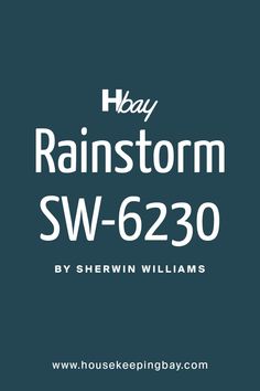 the bay rainstorm sw - 6320 logo is shown in white on a blue background