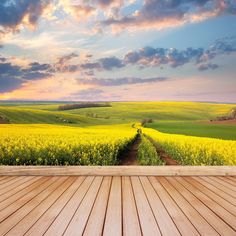 an empty wooden floor in front of a field with yellow flowers and blue cloudy sky