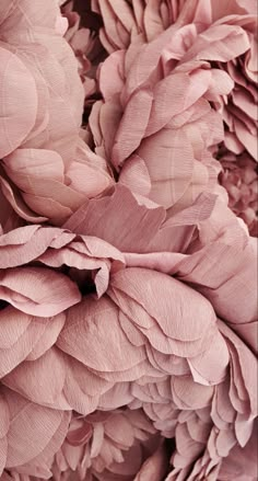 pink flowers are arranged together in this close up photo, with the petals slightly open