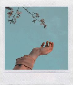 a person's hand reaching up into the sky