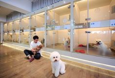 a man sitting on the floor next to a white dog and another person holding a stuffed animal