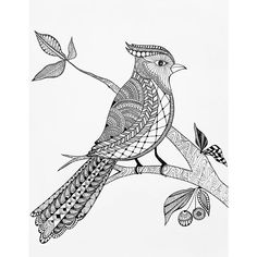 a black and white drawing of a bird on a branch