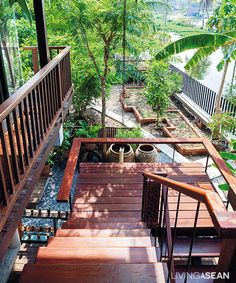 an outdoor deck with wooden steps leading up to trees and plants on the other side