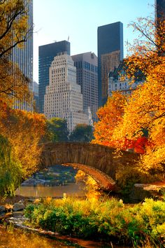 a bridge over a river in the middle of a city with tall buildings behind it