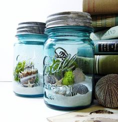 three jars filled with sea shells and plants on top of a table next to books