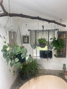 a bathroom with plants hanging from the ceiling and a bathtub in front of it