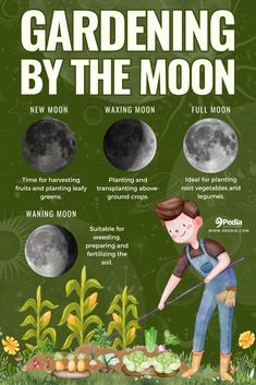 Gardening by The Moon – Very Short Guide #gardening #moon #moongardening #lunar #lunargardening #gardeningbythemoon #mooninfluence Moon Garden Aesthetic, Moon Garden At Night, Moon Garden Ideas, Lunar Garden, Moon Gardening, Gardening By The Moon, Moon Gardens, Goth Garden, Homestead Gardens