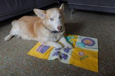 a dog is laying on the floor next to some cloths that have animals on them