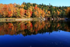 a lake surrounded by trees with fall foliage on the shore and bridge in the background