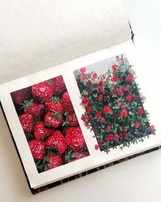 two pictures of strawberries on top of each other with the words bush brushes above them