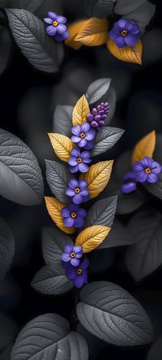 some purple flowers and green leaves on a black background