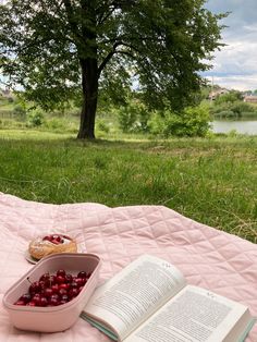 an open book sitting on top of a pink blanket next to a bowl of cherries