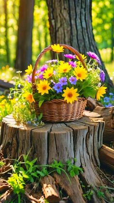 a basket filled with colorful flowers sitting on top of a tree stump in the woods