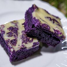 two pieces of blueberry cheesecake on a white plate