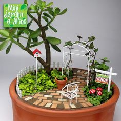 a miniature garden in a clay pot