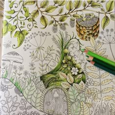 a coloring book with an image of a forest and mushrooms on the cover, surrounded by leaves