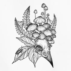 an ink drawing of mushrooms and leaves