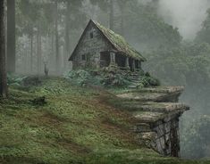 an old house in the woods with moss growing on its roof and stairs leading up to it