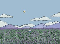 a field with purple flowers and mountains in the background