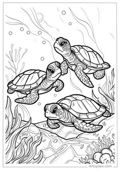 Get creative with our collection of 30 Turtle Coloring Pages! Perfect for kids and adults, these free printables offer a fun way to relax and dive into the world of art. Download now and start coloring! #ColoringFun #TurtleArt #FreePrintables #FamilyActivity Cloisonne Painting, Different Types Of Turtles, Happy Coloring Pages, Educational Coloring Pages, Types Of Turtles, Colorful Turtle, World Turtle Day, Drawing Wood