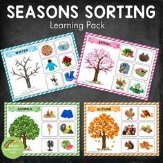 the seasons sorting pack includes four different pictures and two matching cards to help students learn how to