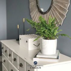 a potted plant sitting on top of a white dresser next to a round mirror