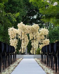 the aisle is lined with black chairs and white flowers