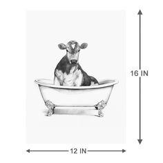 a black and white cow sitting in a bathtub with the measurements for it's height