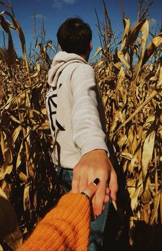 two people holding hands while walking through a corn field