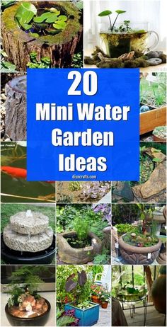 20 mini water garden ideas that are easy to make and great for your backyard or yard