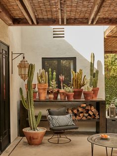 an outdoor living area with cactus and potted plants