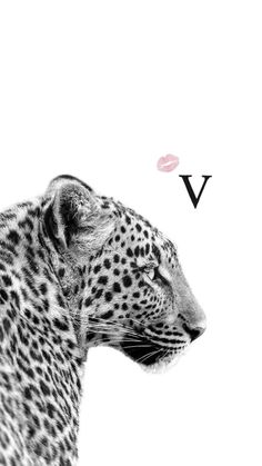 a black and white photo of a leopard with the word v on it's face