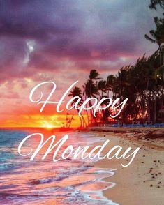 a beach with palm trees and the words happy monday