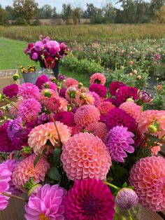 a vase filled with pink and purple flowers on top of a wooden table next to a field