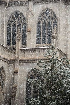 a large building with snow falling on it