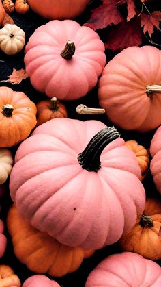 many different colored pumpkins and leaves on the ground