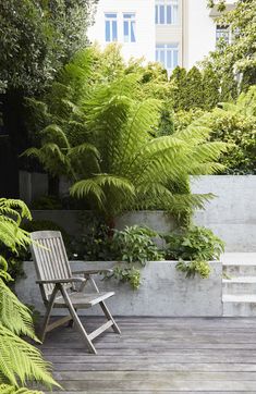 a wooden chair sitting on top of a wooden floor next to a lush green plant