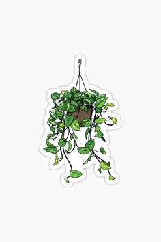 a potted plant with green leaves hanging from it's sides sticker on a white background