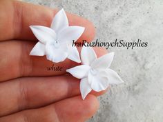 two small white flowers are held in someone's hand