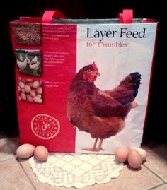 an egg laying on top of a bag next to eggs