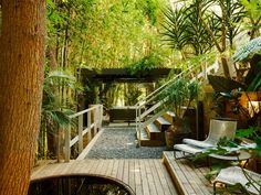 a wooden deck surrounded by trees and plants