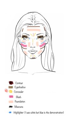 Make Up Layout On Face, Makeup Ideas Template, Makeup Placement Face Chart, Makeup Diagram, Makeup Map, Makeup Chart, Makeup Template, My Makeup Routine