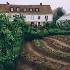 an old farm house is surrounded by green plants and dirt in front of the building