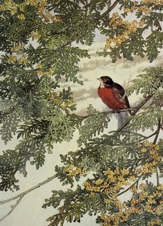 a bird sitting on top of a tree branch next to yellow and green leaves with snow in the background