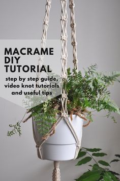 macrame plant hanger with text overlay that reads macrame diy tutorial step by step guide, video knott